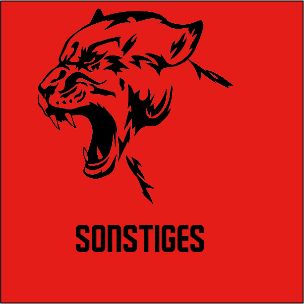 HSG Sonstiges