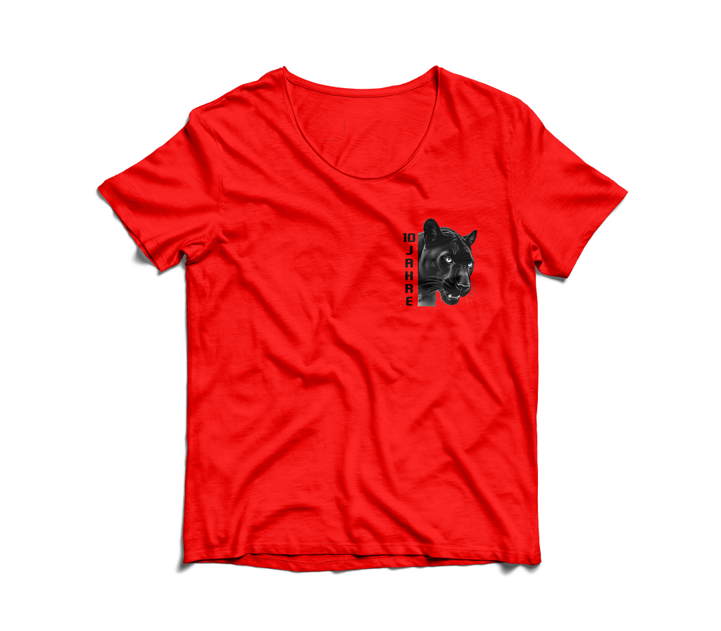 HSG Panther Jubiläumsshirt