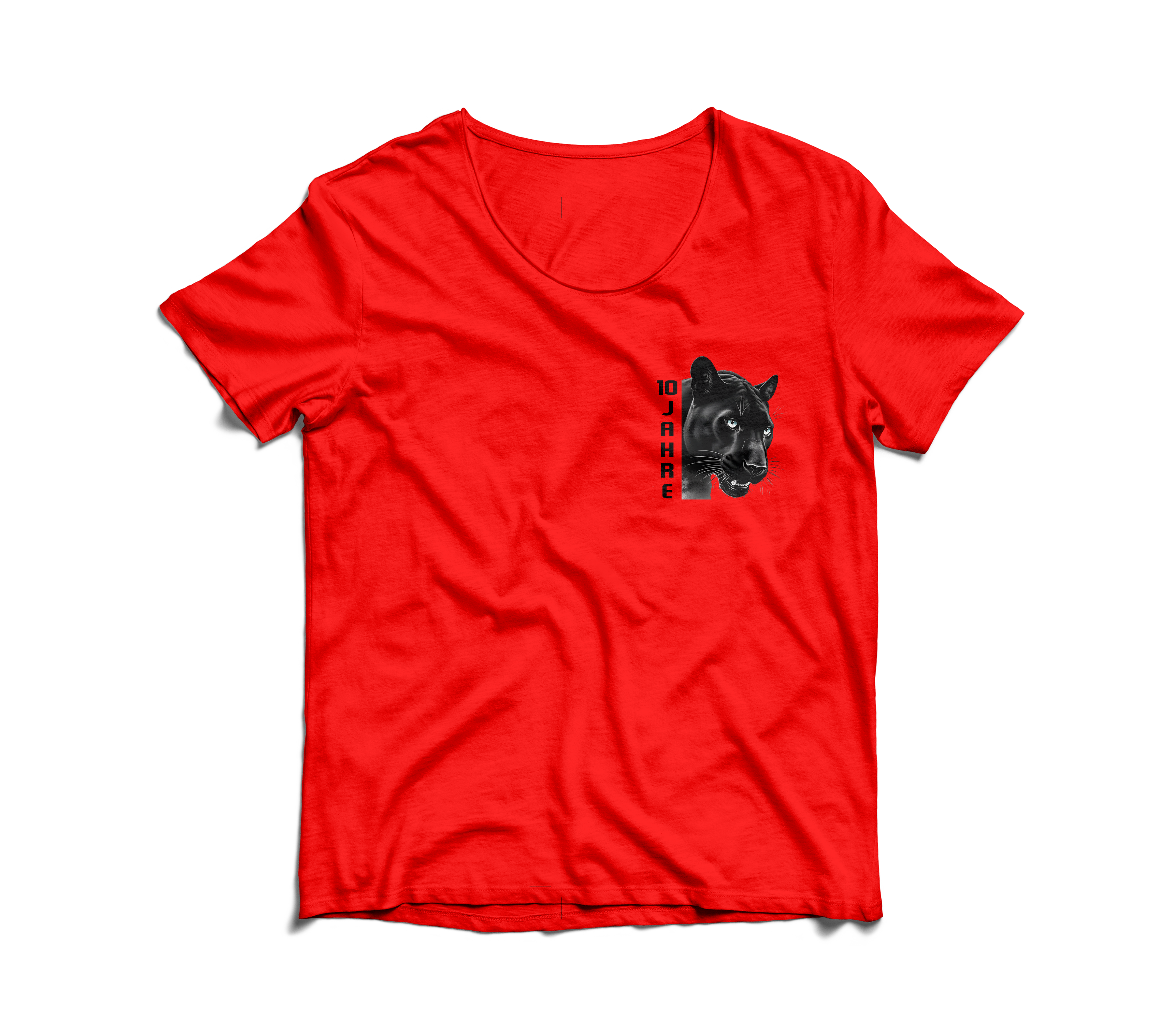 HSG Panther Jubiläumsshirt